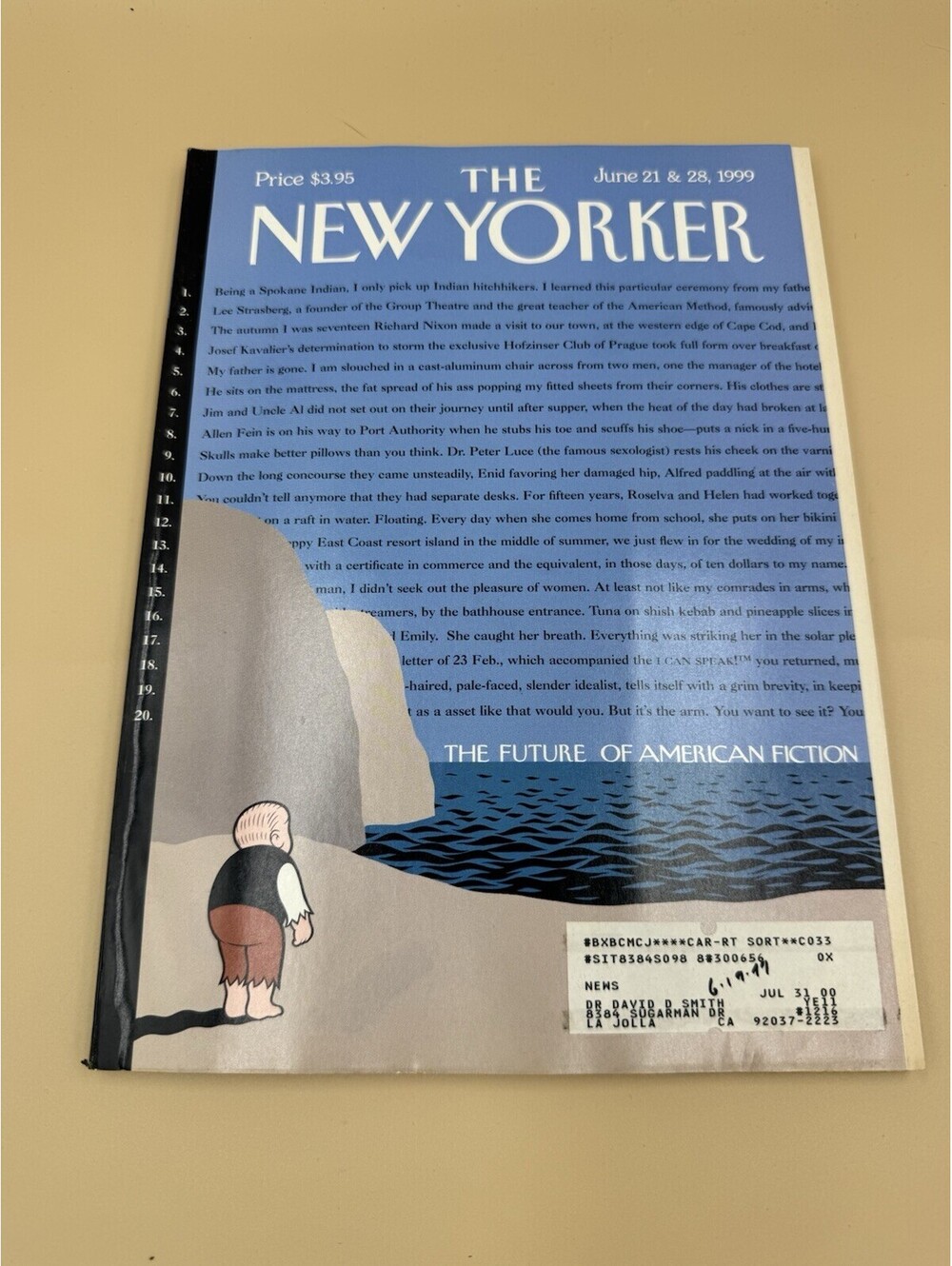 1999 JUNE 21 & 28 The NEW YORKER MAGAZINE - GREAT ILLUSTRATED COVER - NY 3594 VG